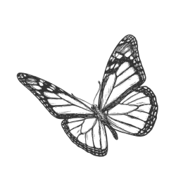 data driven solutions